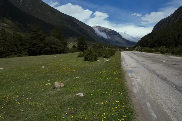 De weg in een bergdal. — Stockfoto