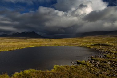 Kutup dağlarda soğuk tundra.