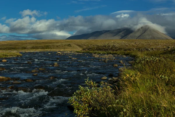 Cold tundra in the polar mountains. — Stock Photo, Image