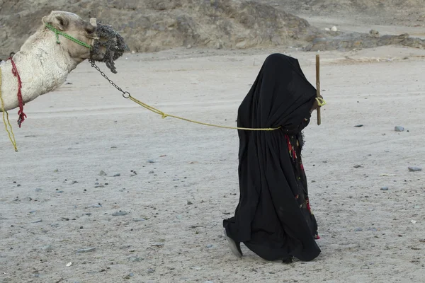 Hijab deve önde gelen bir kadında.