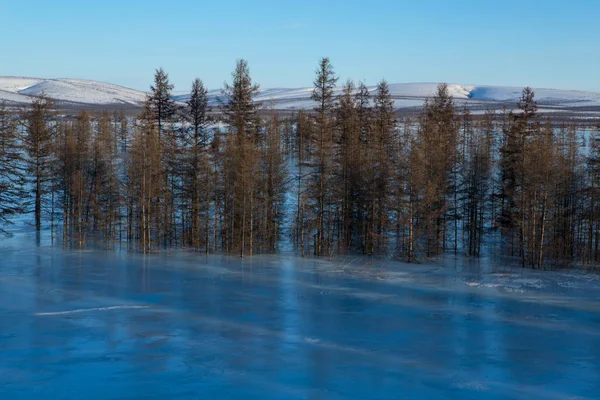 Ormanın ortasında buz kitlesi. 