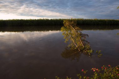Bir dağ gölü Üstten Görünüm.