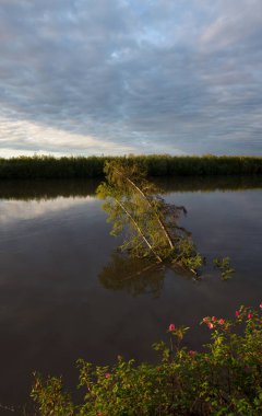 Bir dağ gölü Üstten Görünüm.