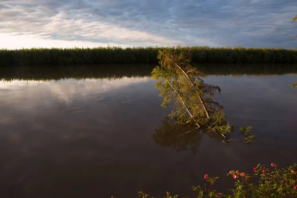 Bir dağ gölü Üstten Görünüm.