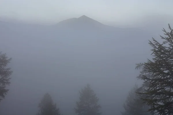 霧の中で森林や山々 の輪郭. — ストック写真