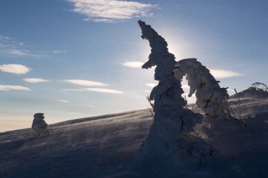Dağlarda karlı kış manzarası. 