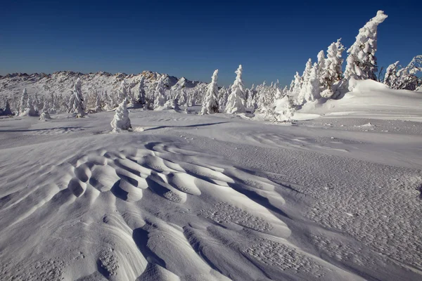 山の中の雪の冬の風景. — ストック写真