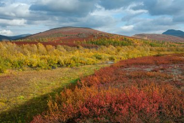 Sonbahar parlak renkler dağlarda.