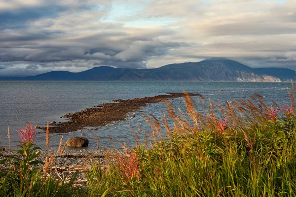 Grundet i havet vid lågvatten. — Stockfoto