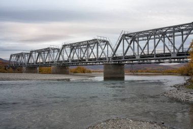 Sonbahar manzaraları tarafından çevrili demiryolu Köprüsü.