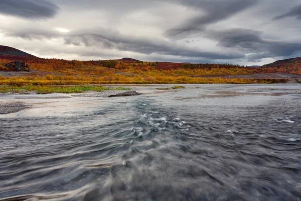 La corrente veloce sul fiume e il paesaggio autunnale intorno . — Foto Stock