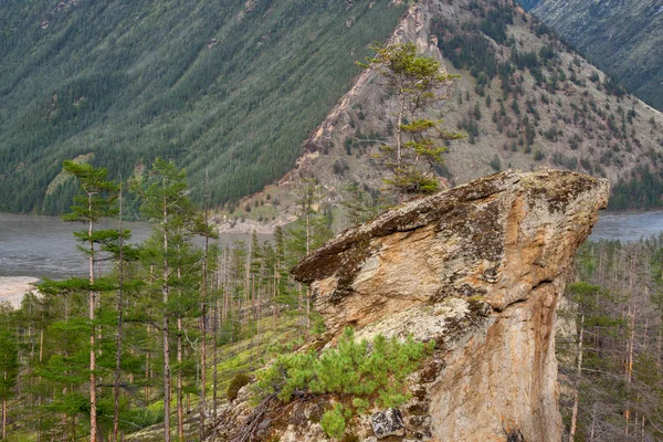Granit kaya ile bir dağ nehir arka planda karaçam.