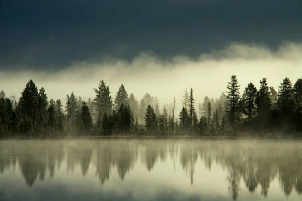 Fog over the forest by the shore of the lake. — Stock Photo, Image