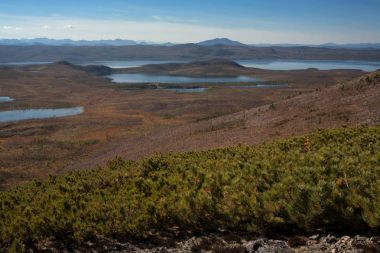 Birçok küçük göl ve Tayga ölü. 