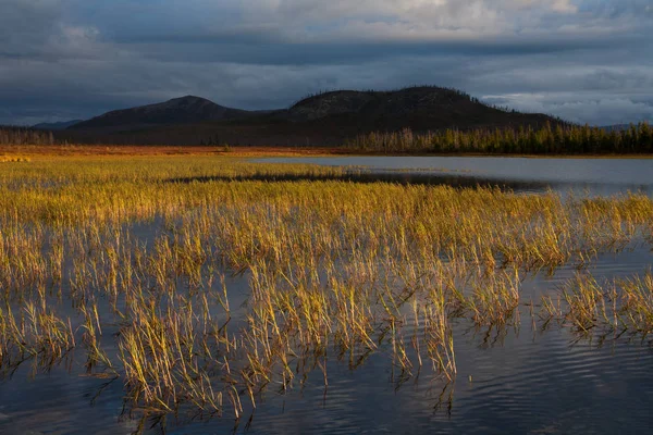 Göl ve arka planda karanlık dağ çimen.