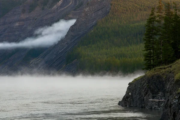 La nebbia lungo le rive rocciose del fiume . — Foto Stock