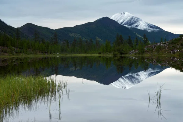 A hófödte csúcsok egy hegyi tó tükre. — Stock Fotó