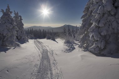 Dağlarda karlı kış manzarası.