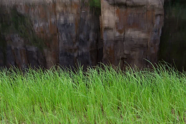 Het Gras Aan Oevers Van Rivier Reflectie Van Rotsen Natuurpark — Stockfoto