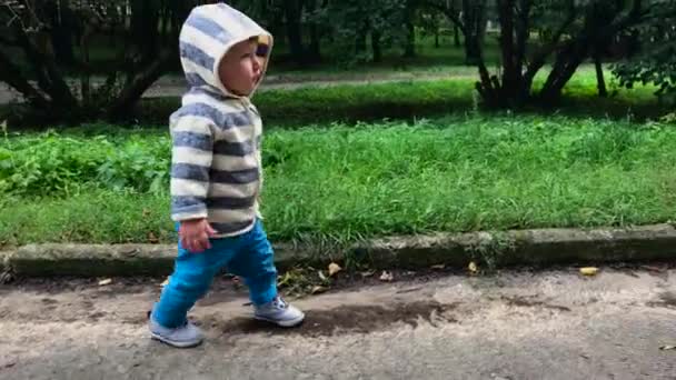 Маленький годовалый мальчик бежит ... — стоковое видео