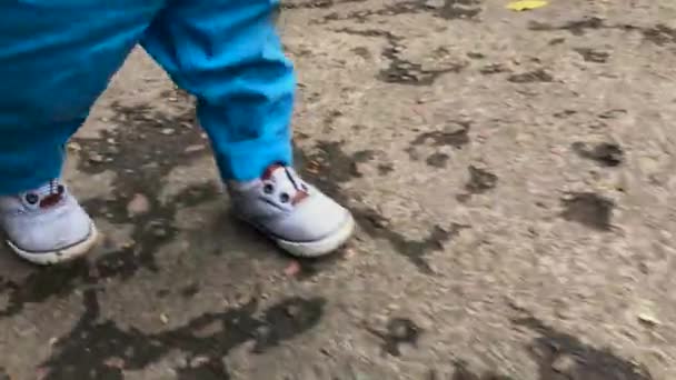 El pequeño niño de un año está corriendo ... — Vídeo de stock