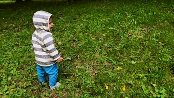 De kleine een-jaar-oude jongen wordt uitgevoerd... — Stockvideo