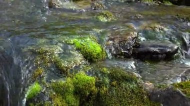 Saf taze su şelale ormandaki sonbahar, Ultrahd 4k, gerçek zamanlı