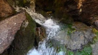 Saf taze su şelale ormandaki sonbahar, Ultrahd 4k, gerçek zamanlı