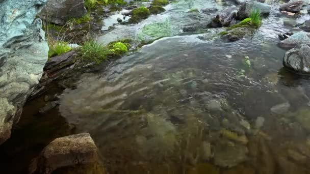 Cascade d'eau douce pure en forêt d'automne, UltraHd 4k, en temps réel 