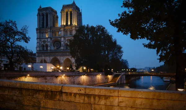 En Francia. PARÍS - 21 DE OCTUBRE DE 2016: Los turistas que visitan la Catedral de Notre Dame de París es la catedral más famosa (1163 - 1345) en la mitad oriental de la isla de Cite —  Fotos de Stock
