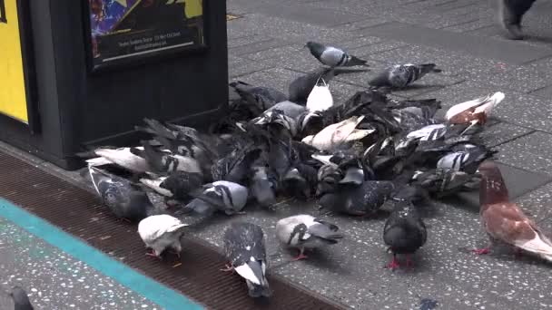 New York City - květen: Chodci a doprava na Times Square v New Yorku, Ny. Times square je jedním z nejpopulárnějších atrakcí na světě s téměř 40 milionů návštěvníků ročně. — Stock video