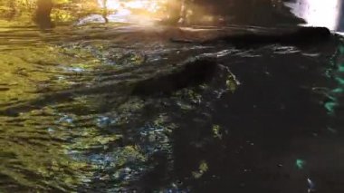 Oynama ve bir su birikintisi Su, gerçek zamanlı, 4 k, ultra hd su samuru