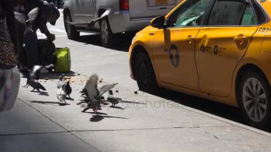 New York-2017 yaklaşık: yoğun trafik, Manhattan, dar sokaklarında blokları ve ultra hd4k, güneşli bir öğleden sonra parlak reklam çarpıcı yükseklikleri ile gerçek zamanlı