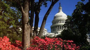 Washington, Dc, Amerika Birleşik Devletleri - 2017 yaklaşık: The U S genellikle adı Capitol Binası Capitol, U S Kongre yurdu, ABD federal hükümeti yasama organı sı.