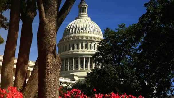 WASHINGTON, DC, USA - Circa 2017: El Capitolio de los Estados Unidos, a menudo llamado el Capitolio, es el hogar del Congreso de los Estados Unidos, y la sede del poder legislativo del gobierno federal de los Estados Unidos . — Vídeos de Stock