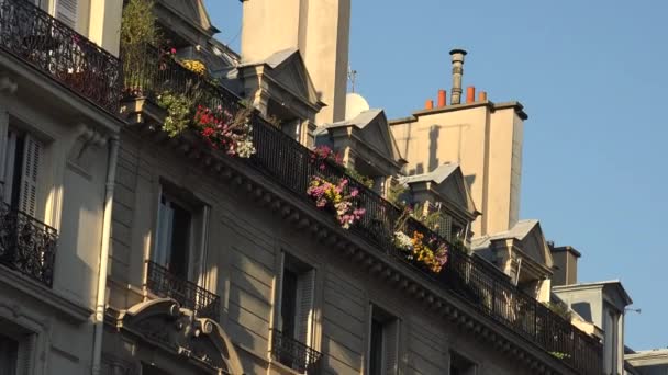 PARIS, FRANÇA -circa 2017: Bela fachada de construção com flores verdes varanda obras de ferro no inverno . — Vídeo de Stock