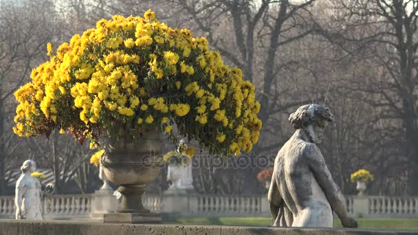 파리-2017 년경: 파리에서 룩셈부르크 정원. 22.5 헥타르에 그것은 도시에 있는 두번째로 큰 공원 그리고 궁전 프랑스 상원의 집. — 비디오