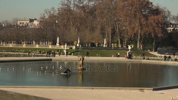 Paris-circa 2017: Luxembourgträdgården i Paris. På 22,5 hektar, det är den näst största parken i staden, och palatset är hem för den franska senaten. — Stockvideo