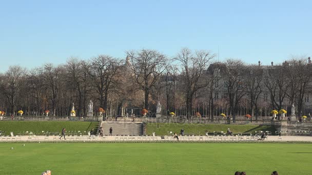 PARIS - circa 2017 : Jardins du Luxembourg à Paris. Avec ses 22,5 hectares, c'est le deuxième plus grand parc de la ville, et le palais abrite le Sénat français. . — Video