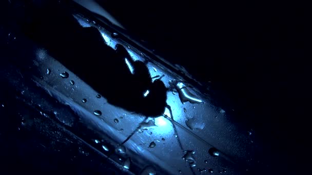 Kackerlacka Isolerade Gömmer Sig Mörka Platser Ljuseffekter — Stockvideo