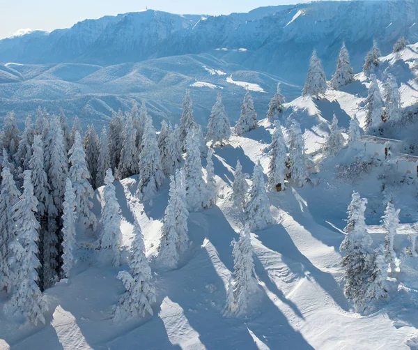Día Soleado Invierno Con Las Montañas Llenas Nieve Poiana Brasov — Foto de Stock