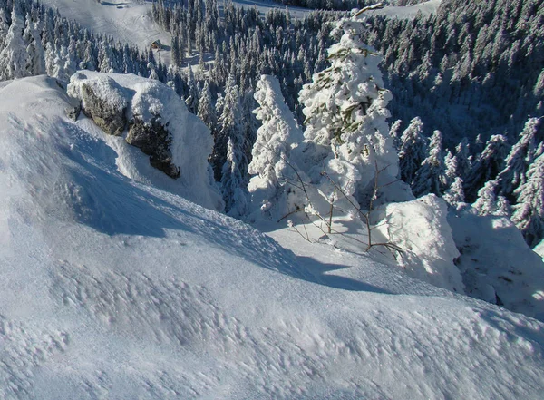 Sunny Winter Day Mountains Full Snow Poiana Brasov Romania Panorama — Stock Photo, Image