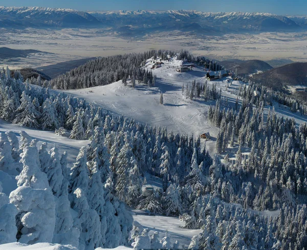 Sonniger Wintertag Mit Schneebedeckten Bergen Poiana Brasov Rumänien Panorama — Stockfoto