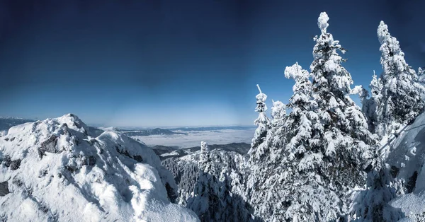 Słoneczny Zimowy Dzień Górami Pełnymi Śniegu Poiana Brasov Rumunia Panorama — Zdjęcie stockowe