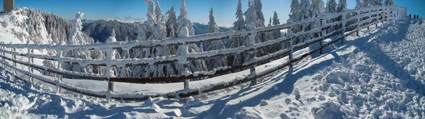 Karla dolu Dağlarla Güneşli Kış Günü, Romanya 'nın Brüksel kenti Brasov, Panorama