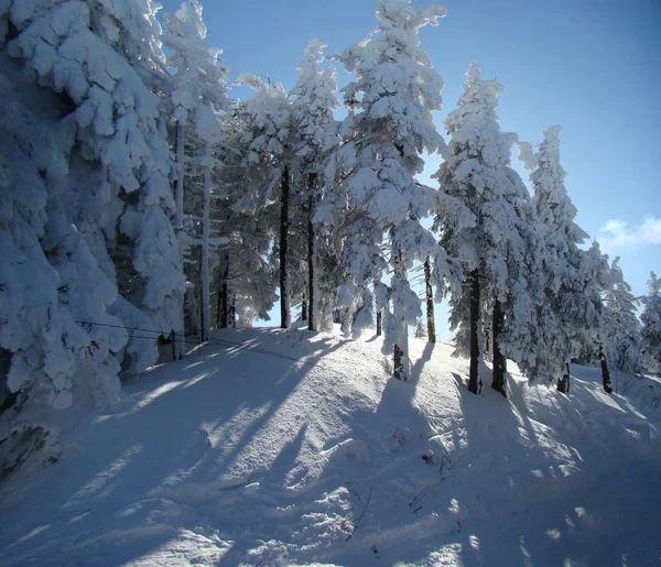 Ηλιόλουστη Χειμωνιάτικη Μέρα Βουνά Γεμάτα Χιόνι Poiana Brasov Ρουμανία Πανόραμα — Φωτογραφία Αρχείου