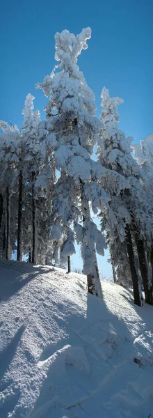 雪でいっぱいの山々と晴れた冬の日 ポアニア ブラゾフ ルーマニア パノラマ — ストック写真