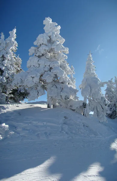 Солнечный Зимний День Горами Полными Снега Пояна Брашов Румыния Панорама — стоковое фото