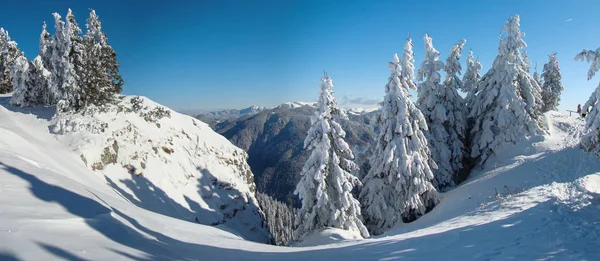 Karla dolu Dağlarla Güneşli Kış Günü, Romanya 'nın Brüksel kenti Brasov, Panorama