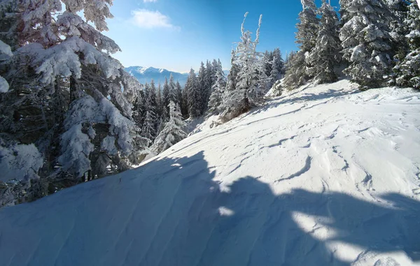 Sunny Winter Day Mountains Full Snow Poiana Brasov Romania Panorama — Stock Photo, Image